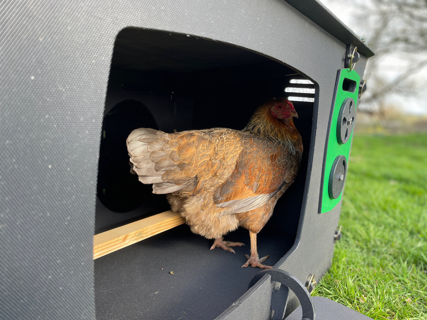 Vintage Style TV Chicken Coop