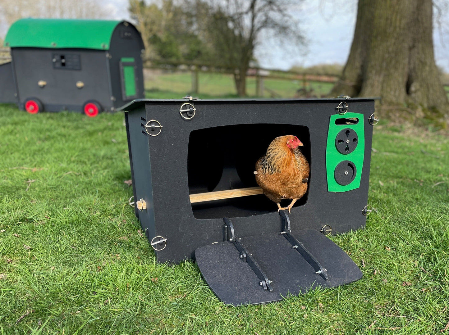 Vintage Style TV Chicken Coop