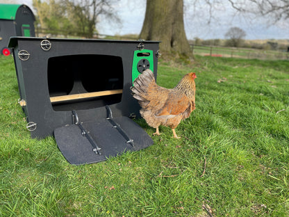 Vintage Style TV Chicken Coop