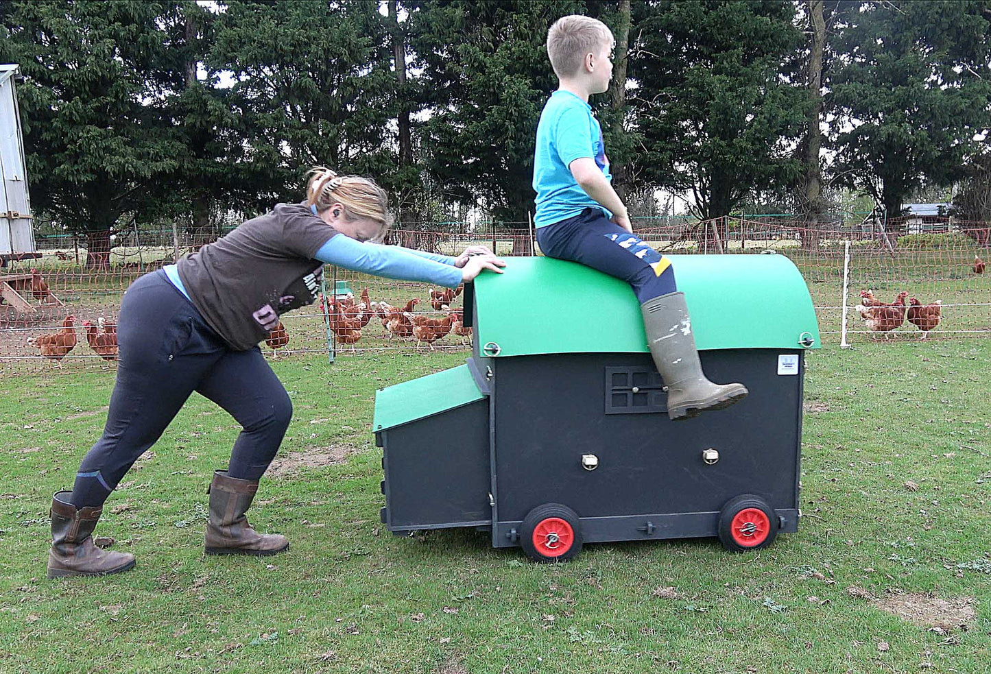 Shepherds Hut Chicken Coop - Large Auto-Door (up to 8 chickens)