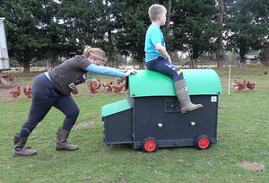 Shepherds Hut Chicken Coop - Large (up to 8 chickens)