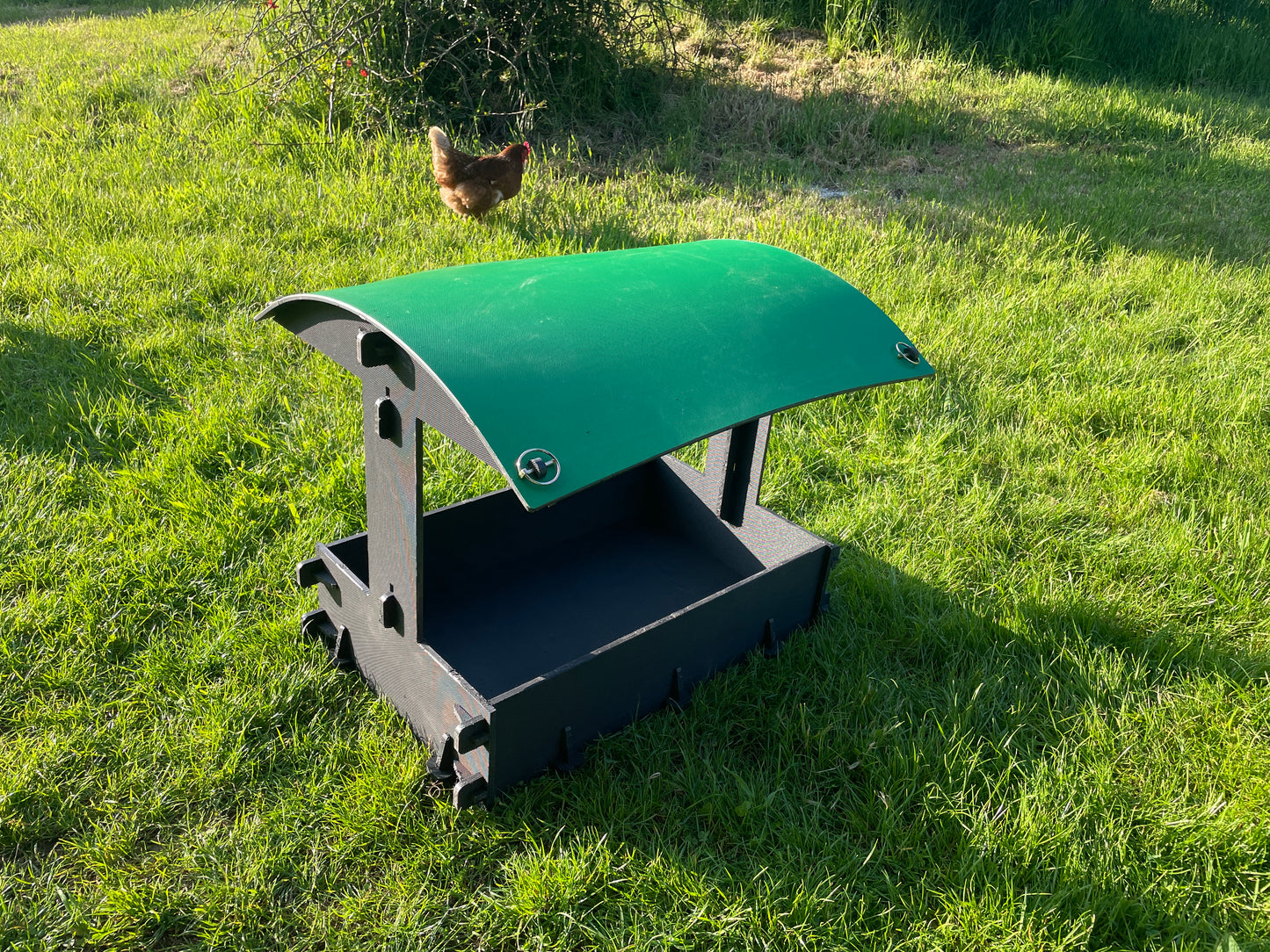 Dust Bath and Chicken Shelter (large)