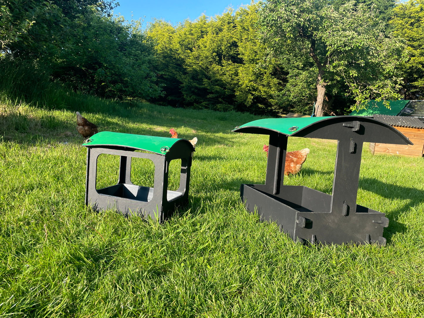 Dust Bath and Chicken Shelter (large)