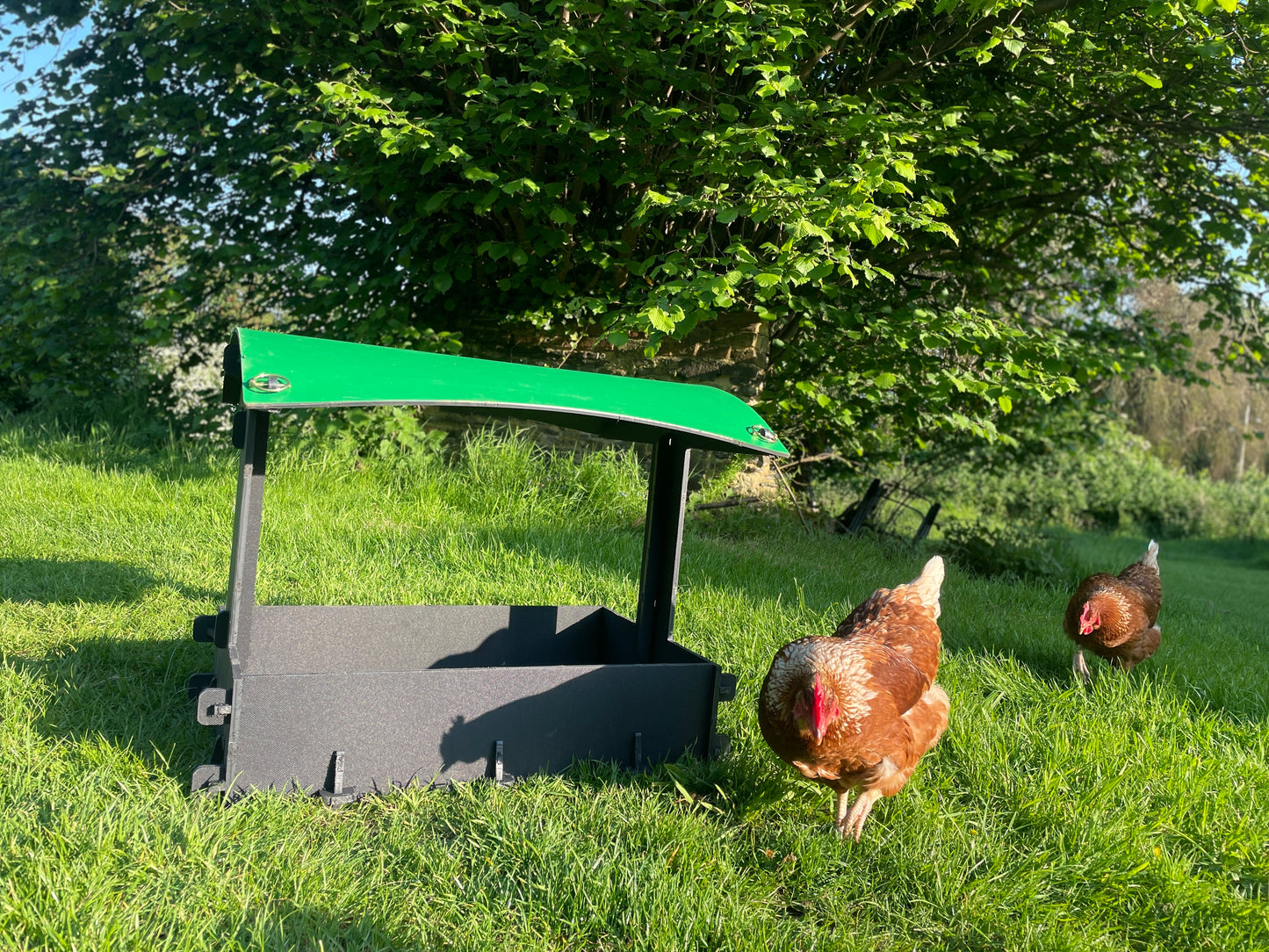 Dust Bath and Chicken Shelter (large)