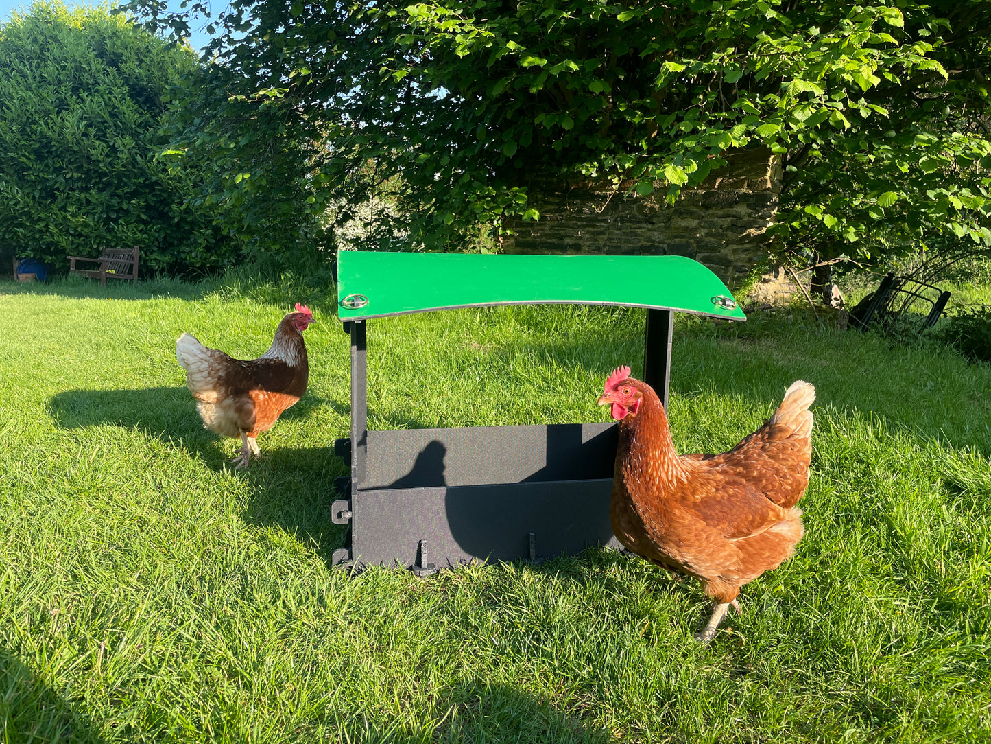 Dust Bath and Chicken Shelter (large)