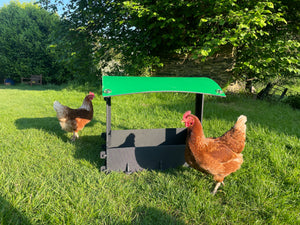 Large Dust Bath - Chicken Shelter